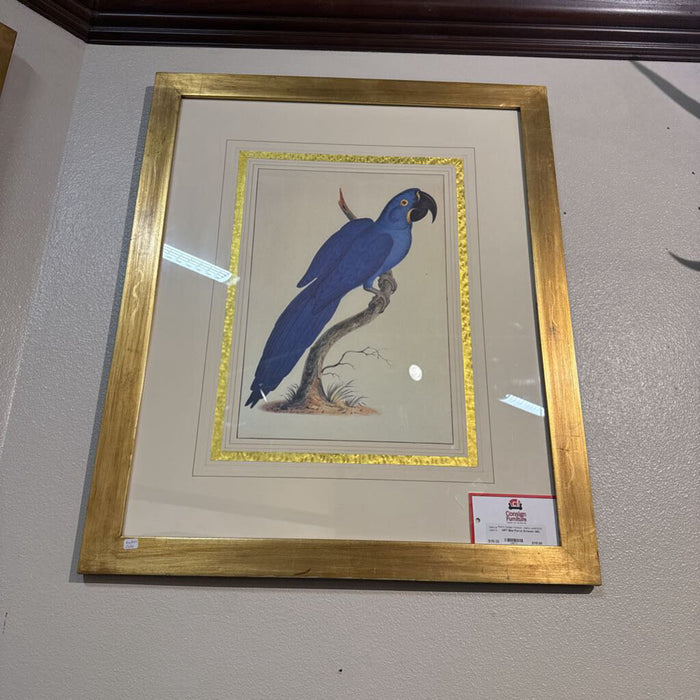 Blue Parrot Artwork (SK)