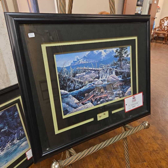 Black Framed "Oregon Trout Brookie" Artwork(SK)