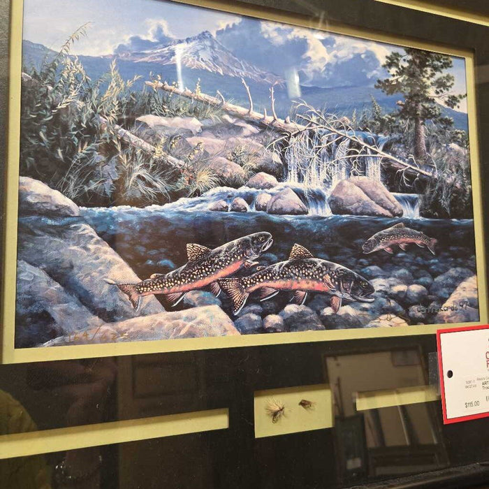 Black Framed "Oregon Trout Brookie" Artwork(SK)