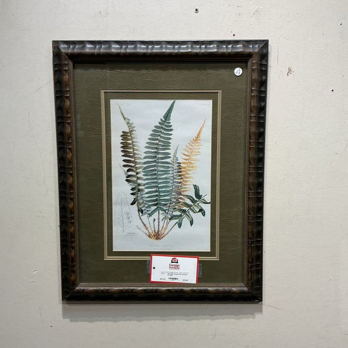 DW Framed Fern Leaves Art (BA)