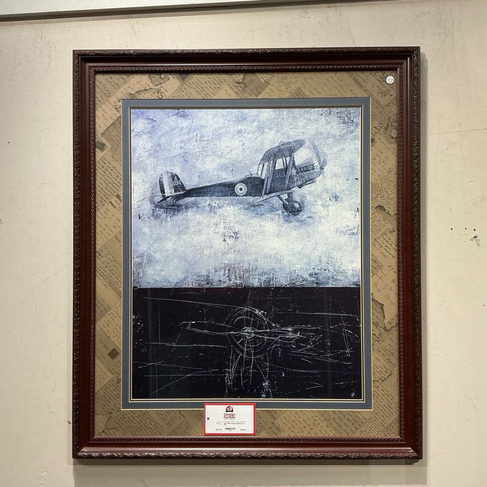 DW Framed Airplane Art (KL)