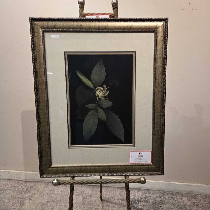 Floral Grey Ornate Framed Art (KL)