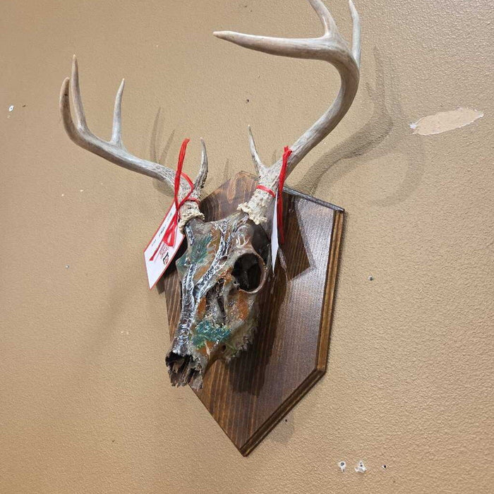 Deer Skull Hand Painted (MSA)