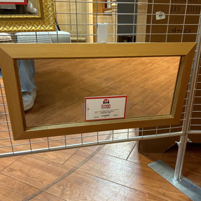 Vertical Gold Framed Mirror (BA)