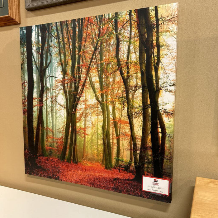 Trees In Forest Canvas (KL)