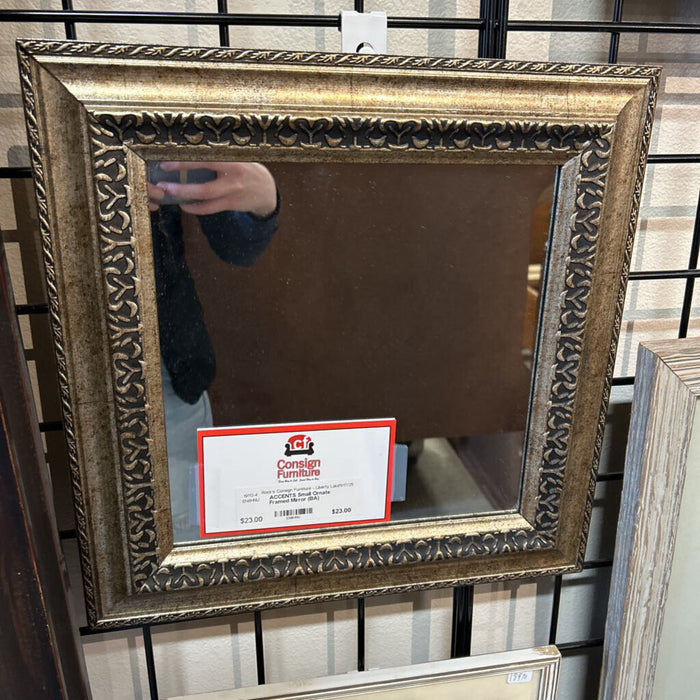 Small Ornate Framed Mirror (BA)