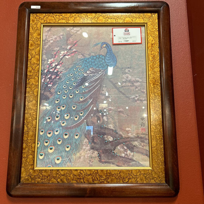Peacock Art DW Frame(AA)
