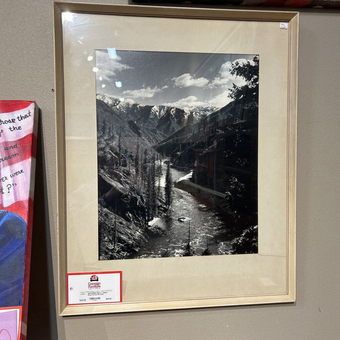 Black + White River Forest Art (LS)