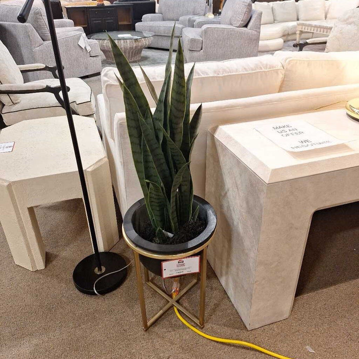 Black/Gold Accented Potted Faux Plant (KL)