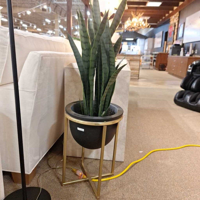 Black/Gold Accented Potted Faux Plant (KL)