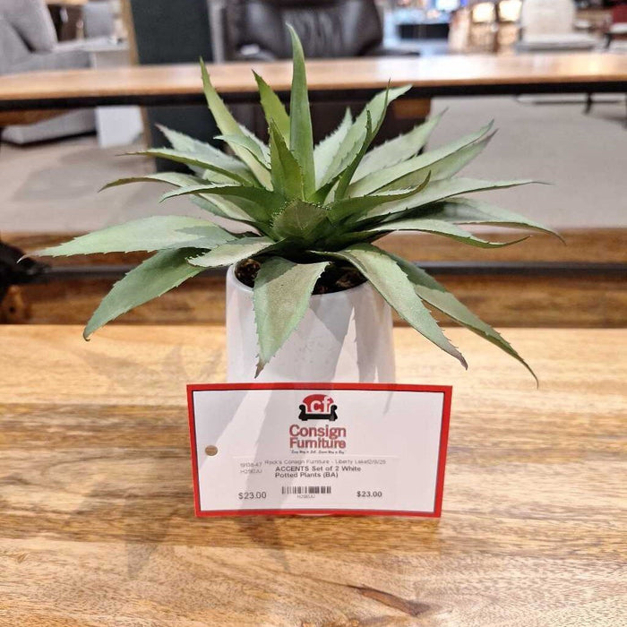 Set of 2 White Potted Plants (BA)