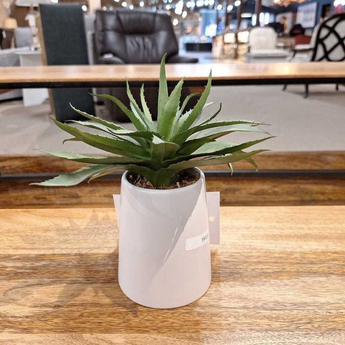 Set of 2 White Potted Plants (BA)