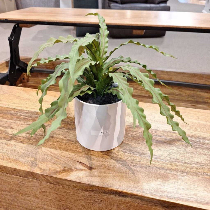 Set of 2 White Potted Plants (BA)