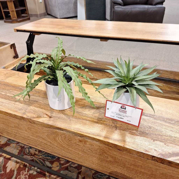 Set of 2 White Potted Plants (BA)