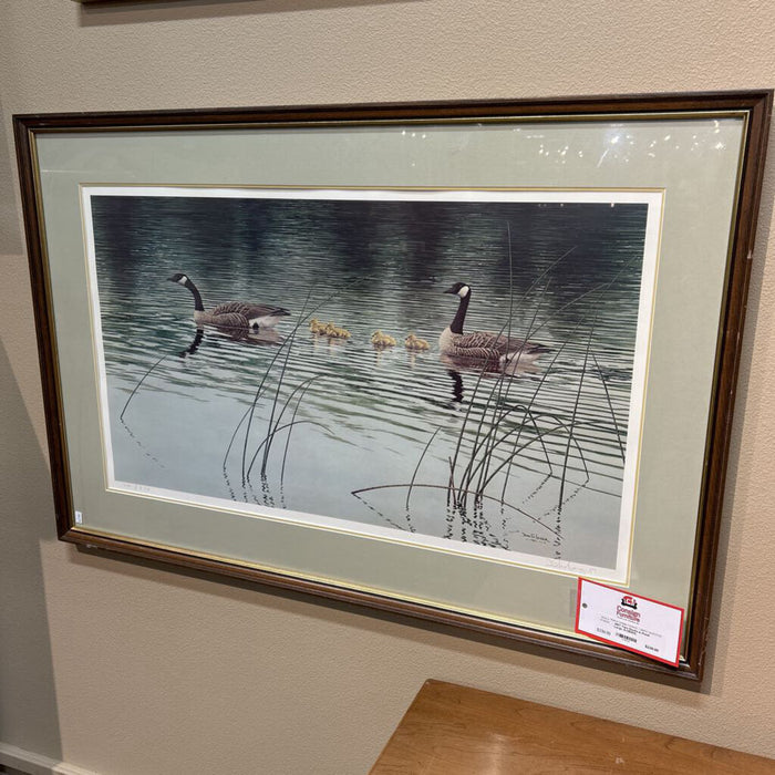 Two Ducks in Pond Large Art(BAH)