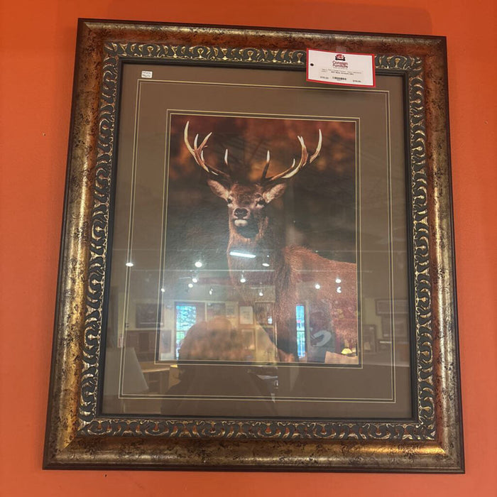 Buck Artwork (SK)