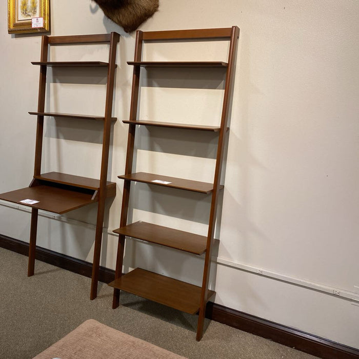 Leaning DW Bookcase (BTK)