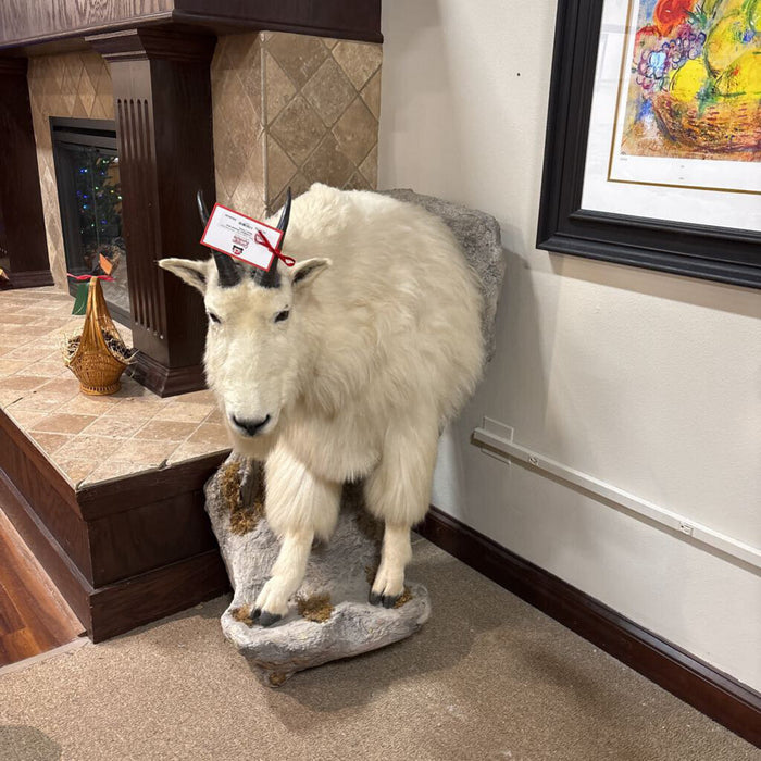 Mountain Goat Mount (TAKH)
