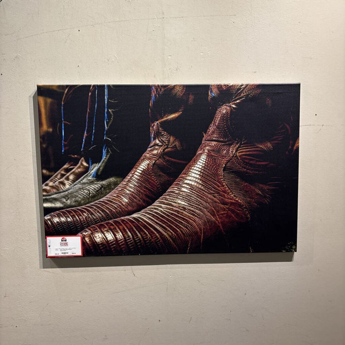 Snake Boot Picture Canvas (AT)