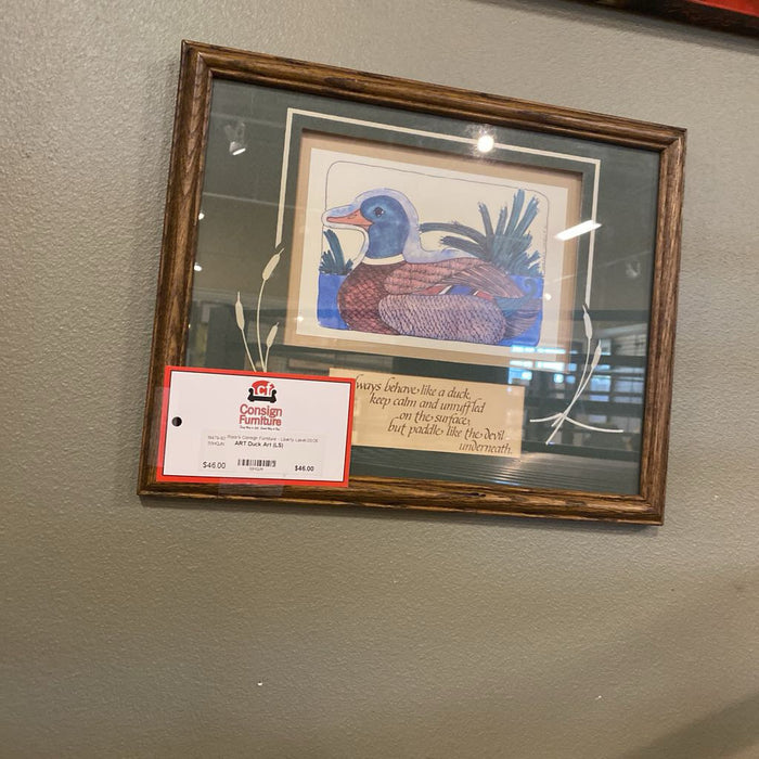 Duck Art (LS)