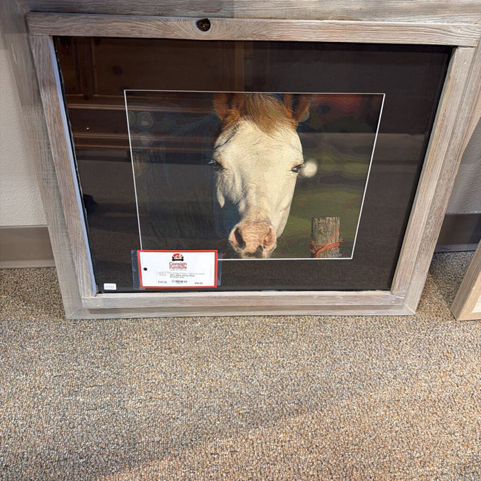 White Horse Head Artwork (LS)