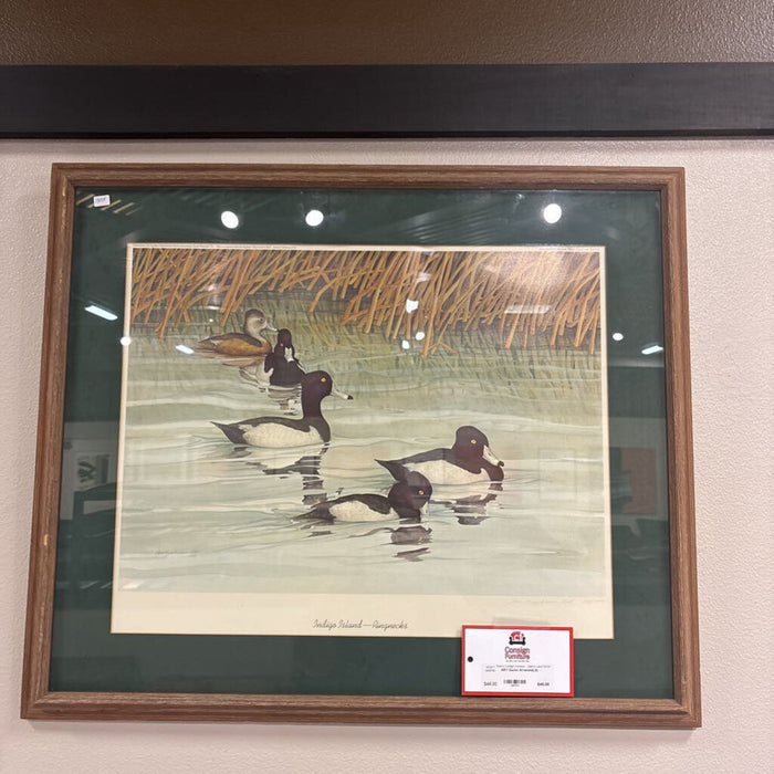 Ducks Artwork(LS)