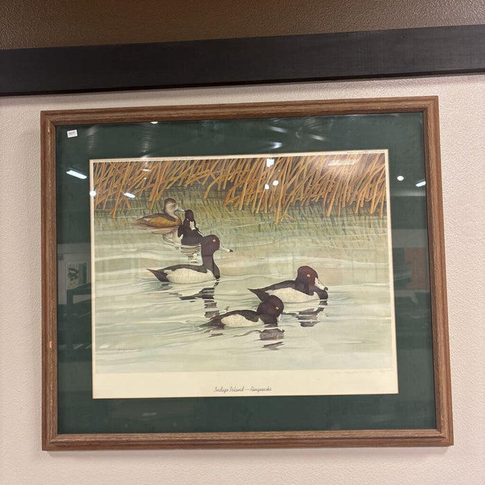 Ducks Artwork(LS)