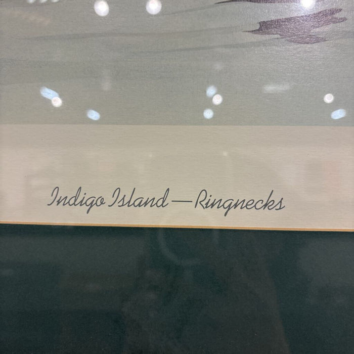Ducks Artwork(LS)