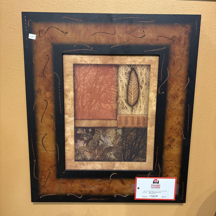 S/2 Framed Leaf Artwork(LS)