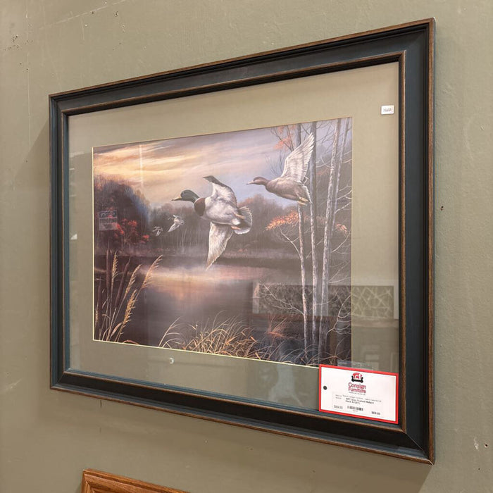 Grey Framed Mallard Duck Art(AT)