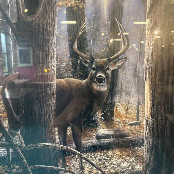 "Woodland Sentry" Artwork(AT)