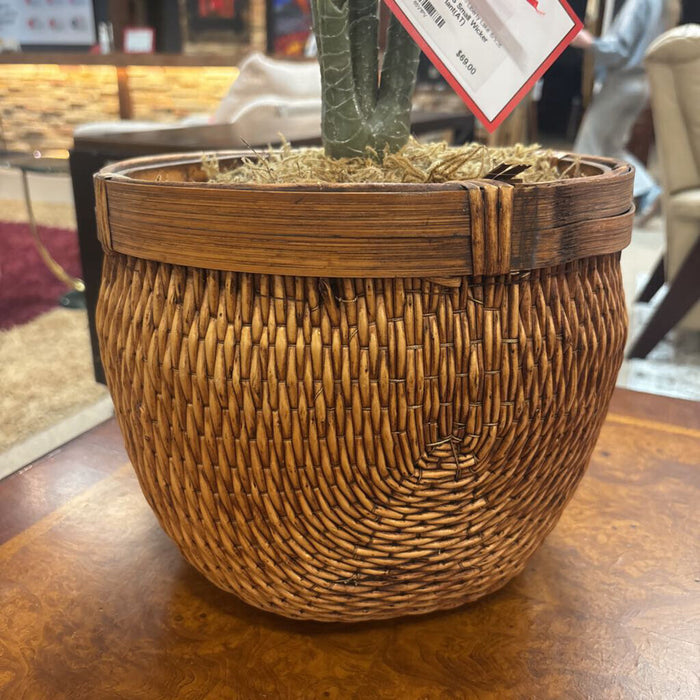Small Wicker Vase Faux Plant(AT)