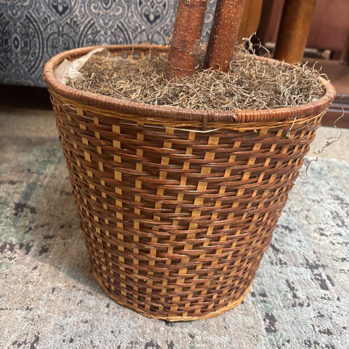 Wicker Faux Plant (SK)
