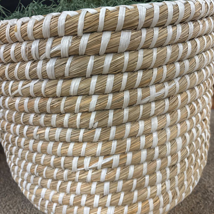Large Wicker Faux Plant (SK)