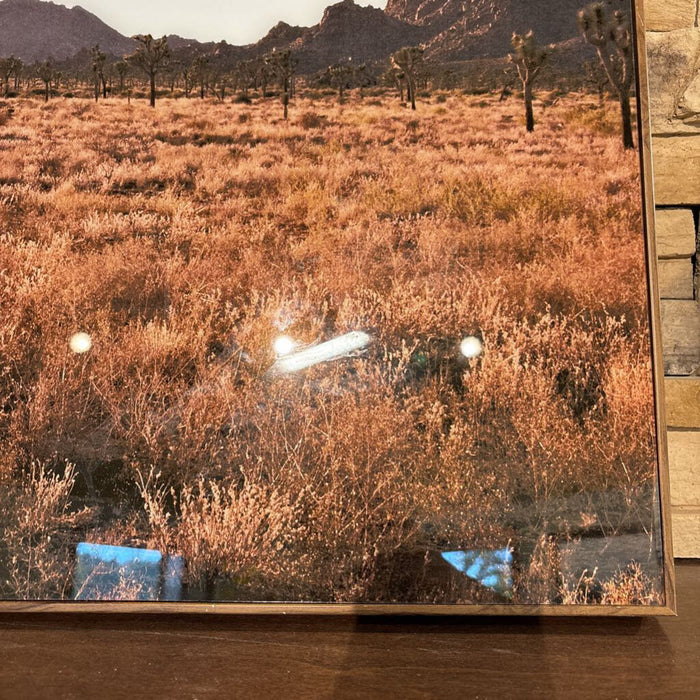 Desert Art (AL)