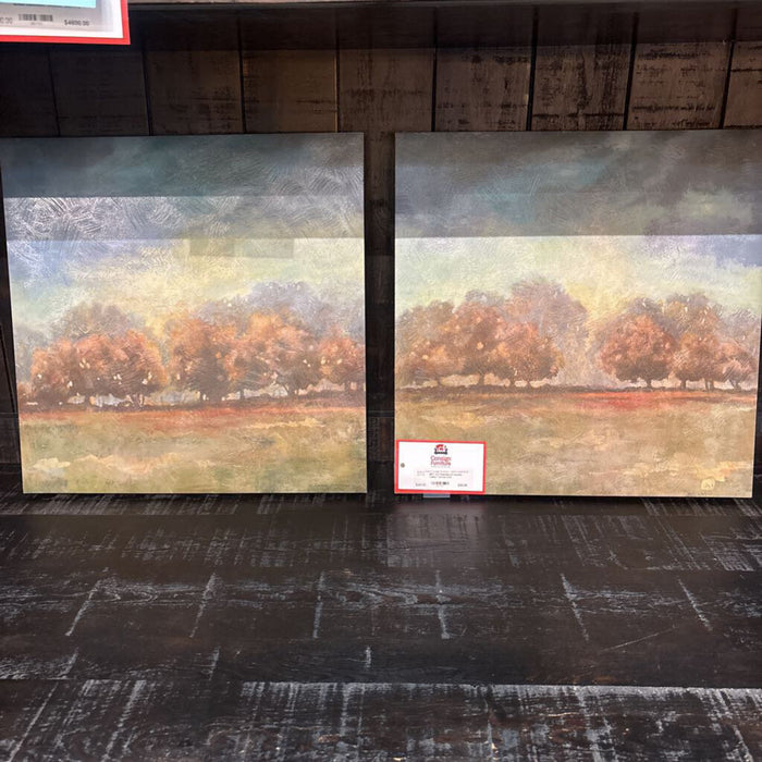 S/2 Painting of stormy Valley canvas (LS)