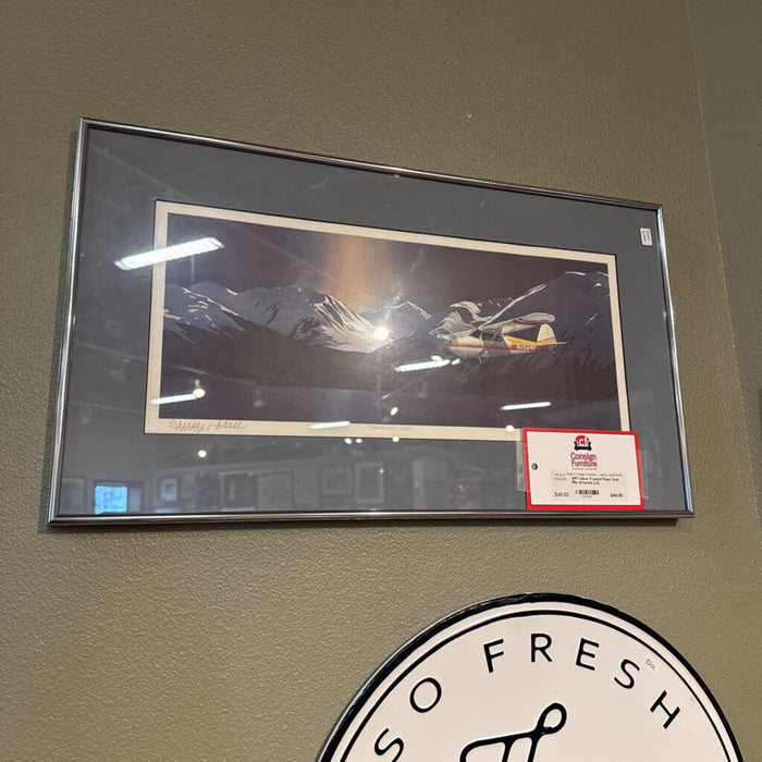 Silver Framed Plane Over Mtn Artwork (LS)