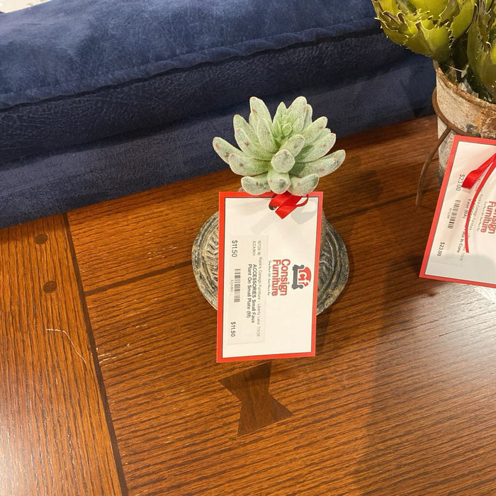 Small Faux Plant On Small Plate (M)