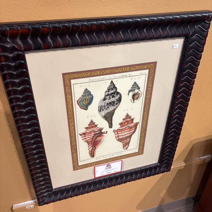 Shell Framed Art (AT)