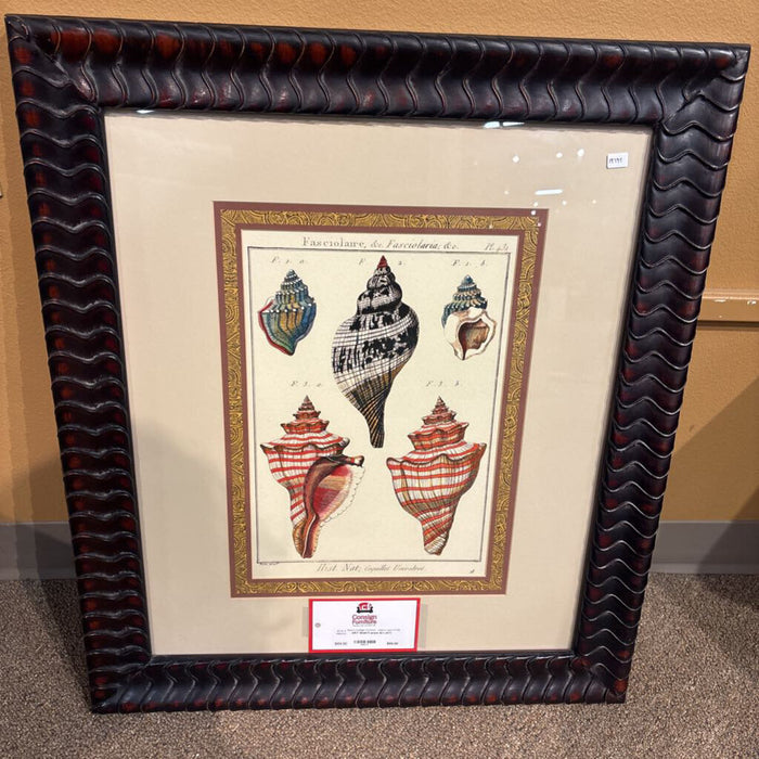 Shell Framed Art (AT)