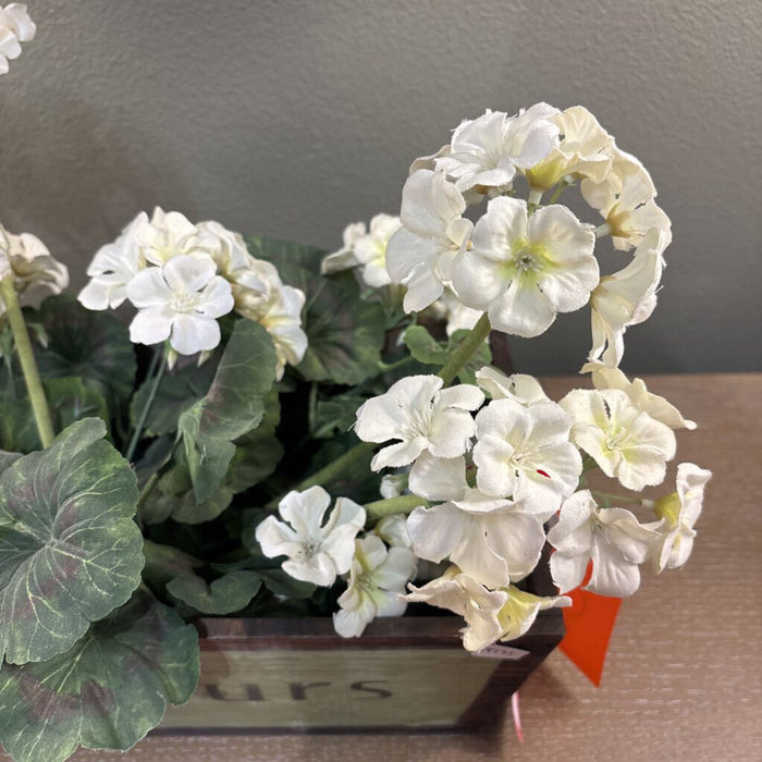 "Les Fleurs" Plant Decor (LS)
