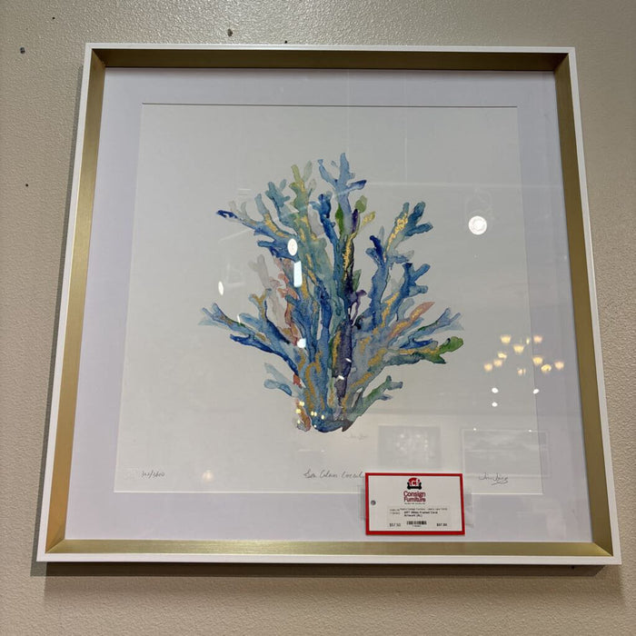 White Framed Coral Artwork (AL)