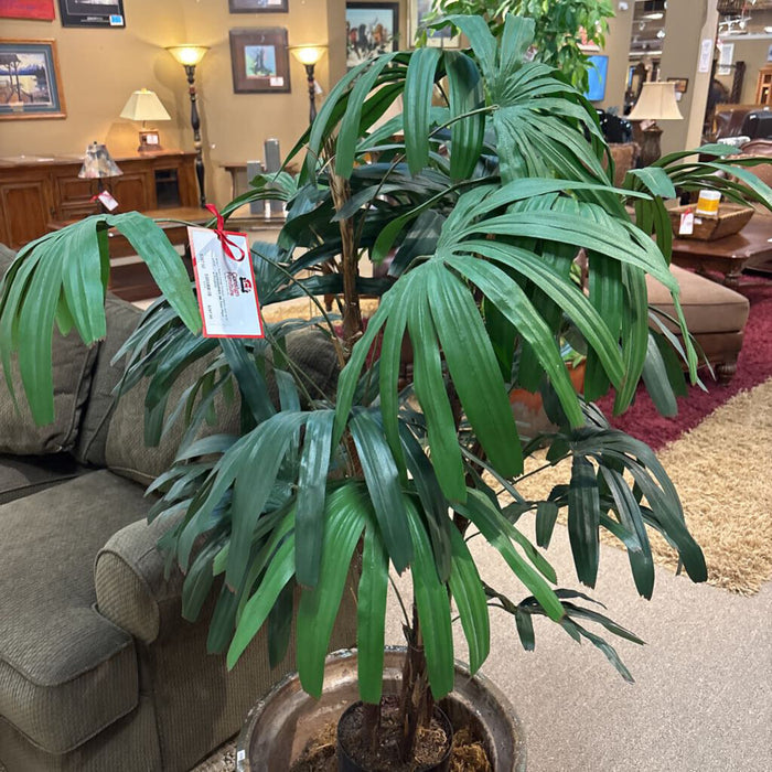 Silk Faux Plant in Pot(BAI)