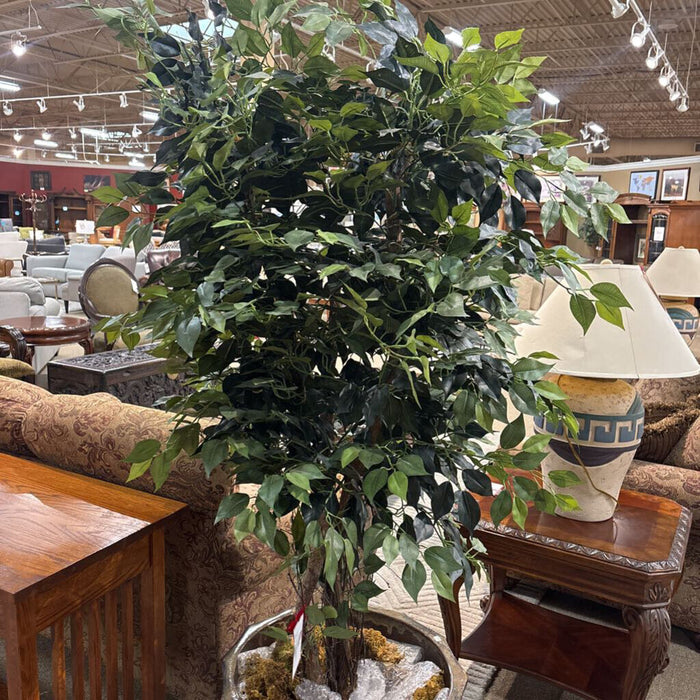 Large Edged Pot w/ Faux Plant(BAI)