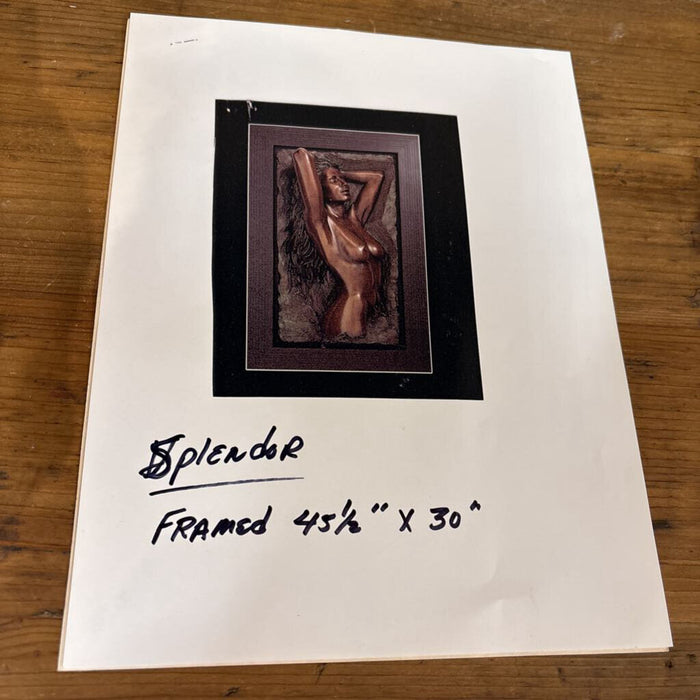 "Splendor" Black Silk Framed Artwork (BHLK)