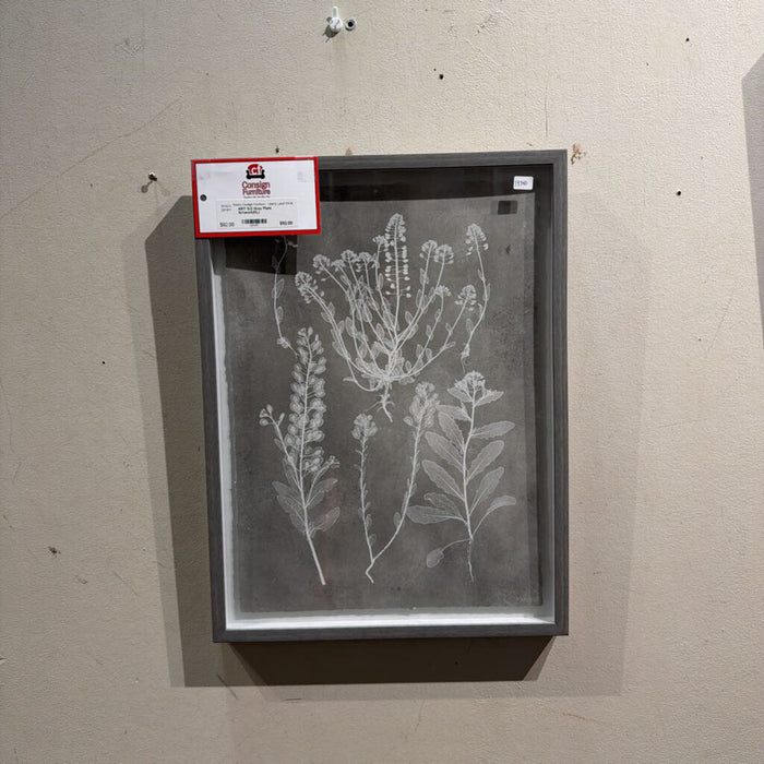 S/2 Grey Plant Artwork(KL)
