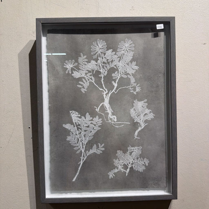 S/2 Grey Plant Artwork(KL)
