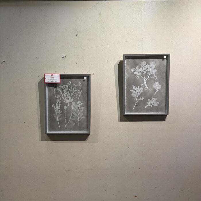 S/2 Grey Plant Artwork(KL)
