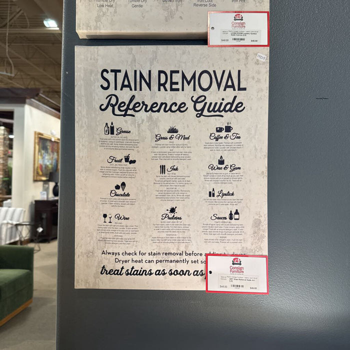 Stain Removal Guide Art (LS)