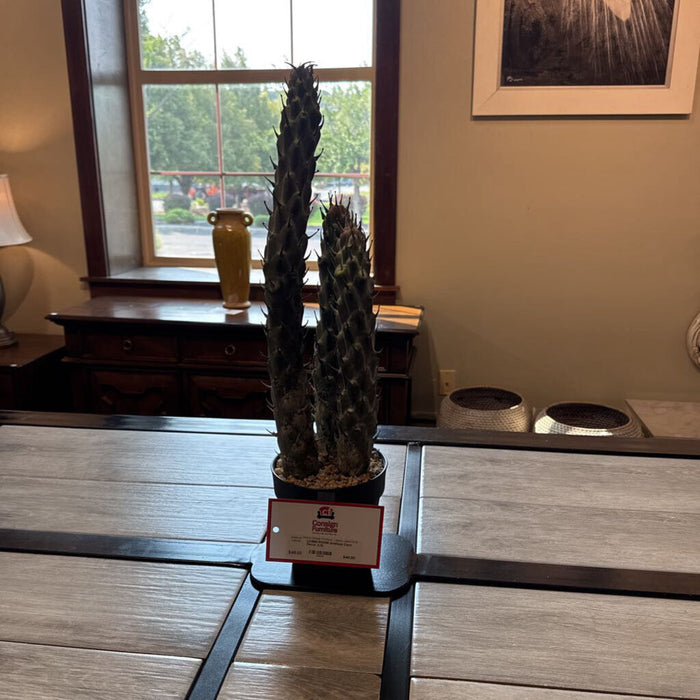 Artificial Cacti Decor (LS)